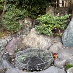 投稿日:2025年11月19日 写真