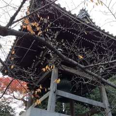 投稿日:2019年12月21日 写真