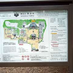 投稿日:2020年10月11日 写真