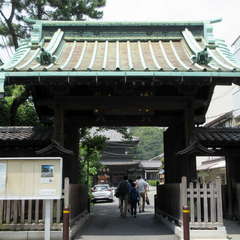 投稿日:2021年7月12日 写真