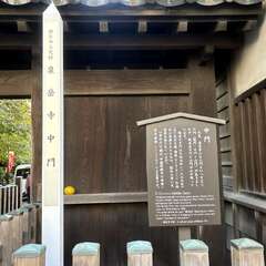 投稿日:2025年11月19日 写真