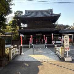 投稿日:2025年11月19日 写真