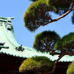 投稿日:2025年2月4日 写真