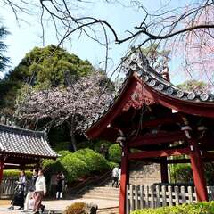 投稿日:2025年2月4日 写真