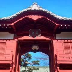 投稿日:2023年1月10日 写真