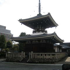 投稿日:2025年1月7日 写真