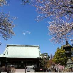 投稿日:2019年4月1日 写真