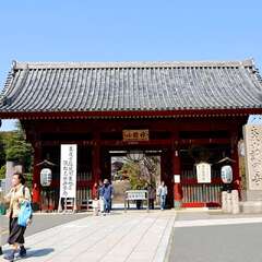 投稿日:2025年2月4日 写真