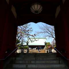 投稿日:2025年2月4日 写真