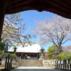 投稿日:2019年4月1日 写真