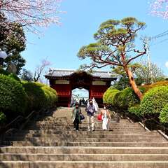 投稿日:2025年2月4日 写真