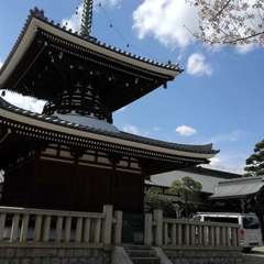 投稿日:2019年4月1日 写真