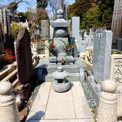 投稿日:2025年2月4日 写真