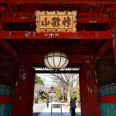 投稿日:2025年2月4日 写真