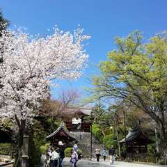 投稿日:2019年4月1日 写真