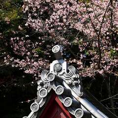 投稿日:2025年2月4日 写真