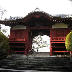 投稿日:2025年1月7日 写真