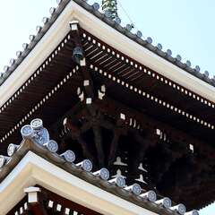 投稿日:2025年2月4日 写真