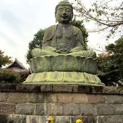 投稿日:2016年11月10日 写真