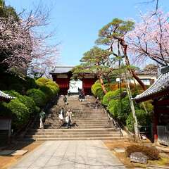 投稿日:2025年2月4日 写真