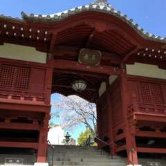 投稿日:2019年4月1日 写真