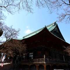 投稿日:2025年2月4日 写真