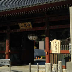 投稿日:2022年1月8日 写真