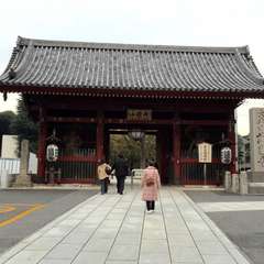 投稿日:2016年11月10日 写真