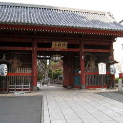 投稿日:2025年1月7日 写真