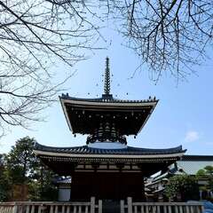 投稿日:2025年2月4日 写真