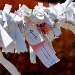 投稿日:2025年2月4日 写真