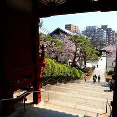 投稿日:2025年2月4日 写真