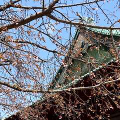 投稿日:2025年2月4日 写真