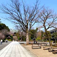 投稿日:2025年2月4日 写真