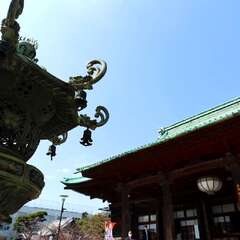 投稿日:2025年2月4日 写真