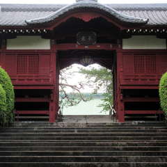 投稿日:2021年8月25日 写真