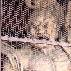 投稿日:2022年10月31日 写真