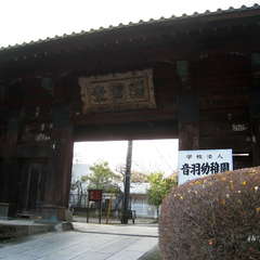 投稿日:2025年1月7日 写真