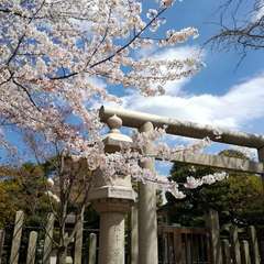 投稿日:2019年4月1日 写真