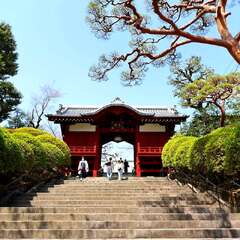 投稿日:2025年2月4日 写真