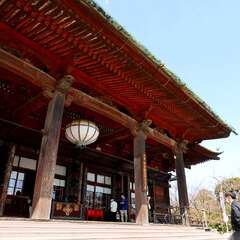 投稿日:2025年2月4日 写真