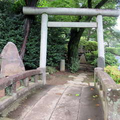 投稿日:2021年8月25日 写真