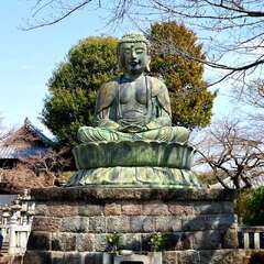 投稿日:2025年2月4日 写真