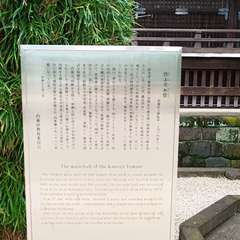 投稿日:2020年7月25日 写真