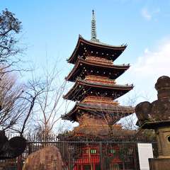 投稿日:2021年12月30日 写真