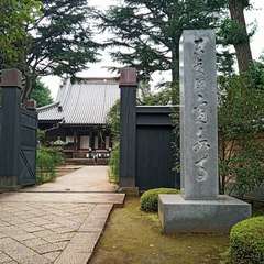 投稿日:2020年7月25日 写真