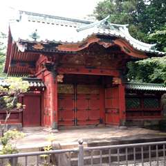 投稿日:2020年7月25日 写真