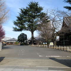 投稿日:2021年3月15日 写真