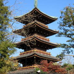 投稿日:2021年12月6日 写真