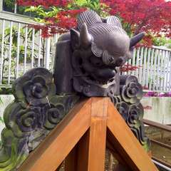 投稿日:2016年5月3日 写真